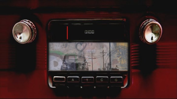 מתוך סירטה של מוריאל סאלינג'ר