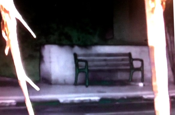 מתוך סירטה של טלי נבון